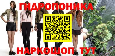 крисы Краснокаменск