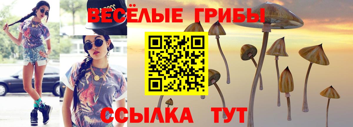 Псилоцибиновые грибы прущие грибы Холмск